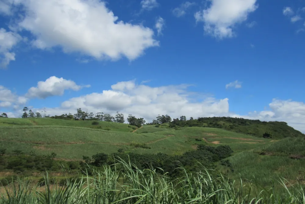 Farm vacant land for sale in Port Shepstone Rural - 1PSH1733978 Farm vacant land for sale in Port Shepstone Rural - 1PSH1733978