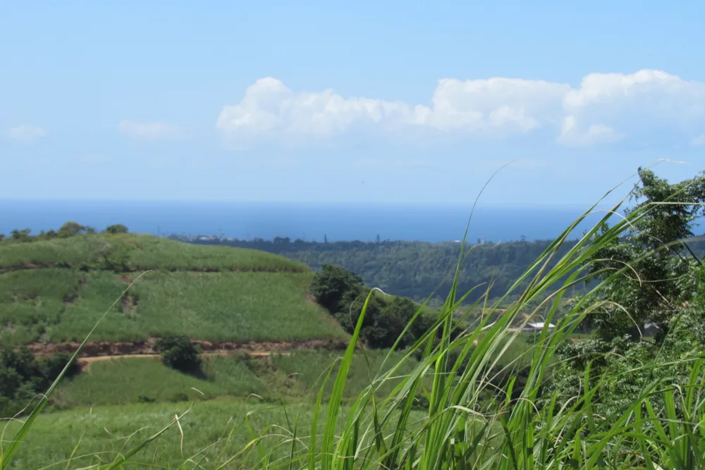 Farm vacant land for sale in Port Shepstone Rural - 1PSH1733978 Farm vacant land for sale in Port Shepstone Rural - 1PSH1733978