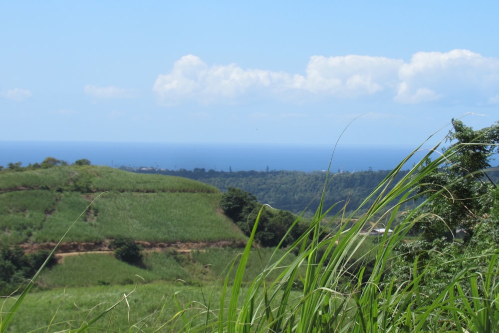 Farm vacant land for sale in Port Shepstone Rural - 1PSH1733978 Farm vacant land for sale in Port Shepstone Rural - 1PSH1733978