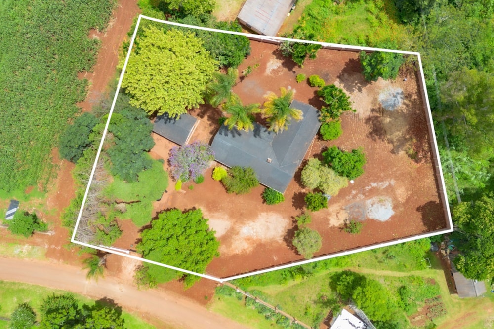 House for sale in Borrowdale, Zimbabwe - 3ZB1733858 House for sale in Borrowdale, Zimbabwe - 3ZB1733858