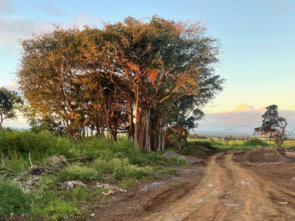 Vacant land for sale in Piton, Mauritius - MUR1733868 Vacant land for sale in Piton, Mauritius - MUR1733868