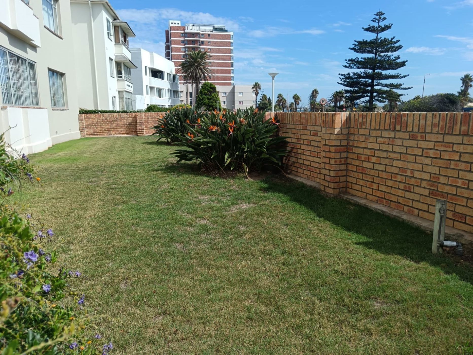 Apartment to rent in Summerstrand - 1PLZ1733876