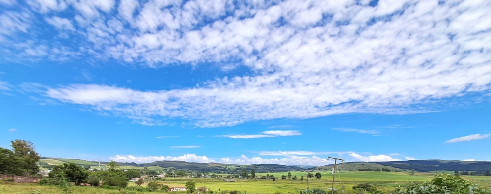 Mixed use farm for sale in Lidgetton, Midlands, Rural - 1PM1734080