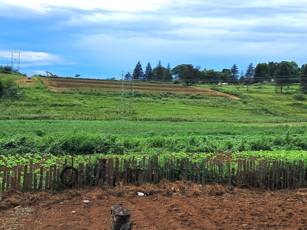 Mixed use farm for sale in Lidgetton, Midlands, Rural - 1PM1734080