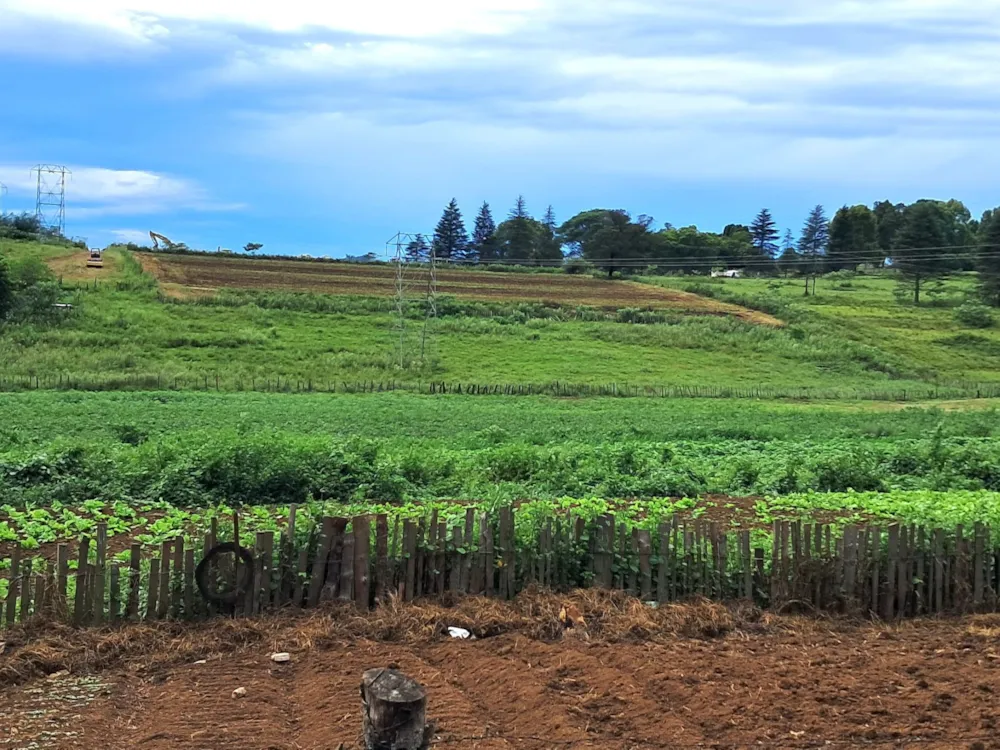 Mixed use farm for sale in Lidgetton, Midlands, Rural - 1PM1734080 Mixed use farm for sale in Lidgetton, Midlands, Rural - 1PM1734080