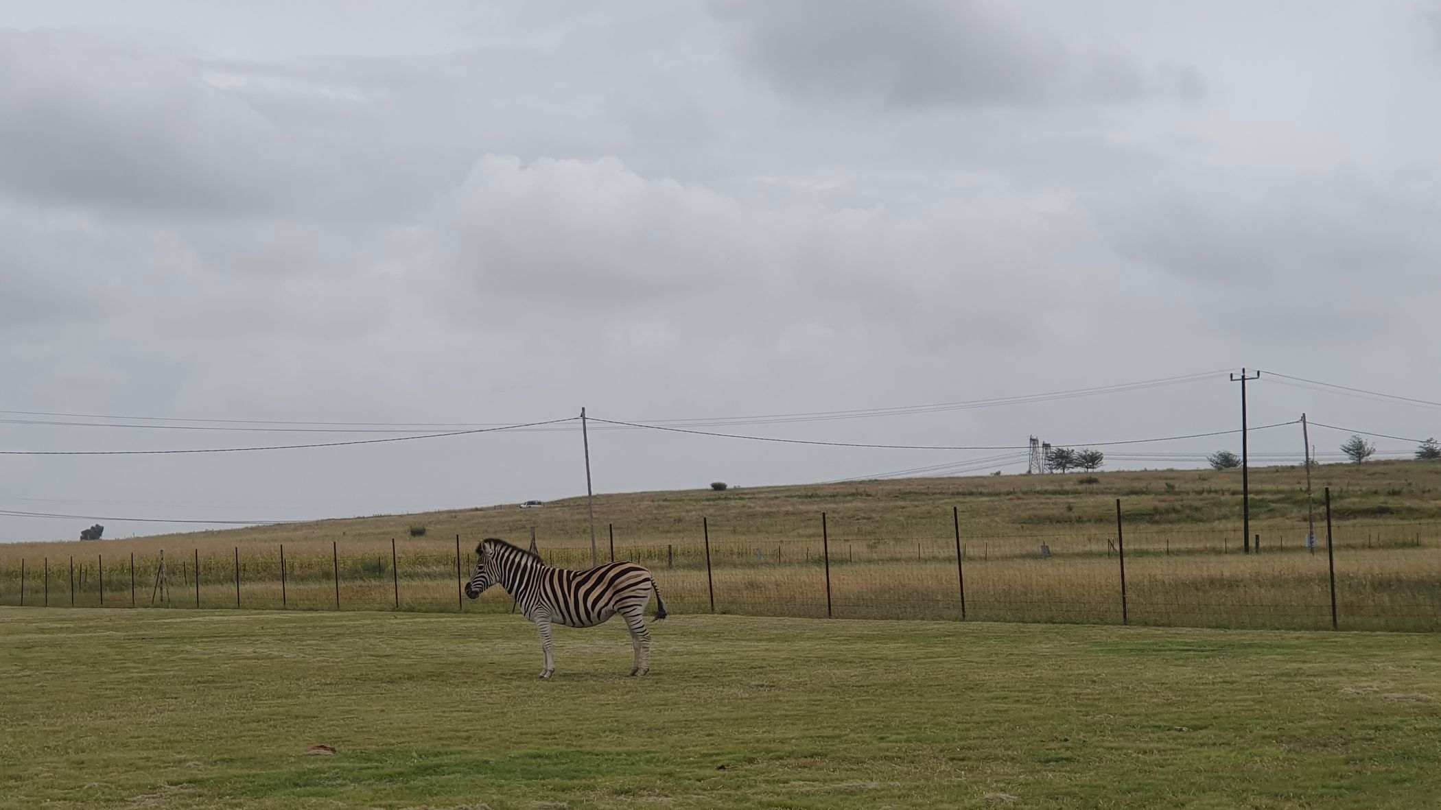 Smallholding for sale in Vaaldam SH - 1VT1734236