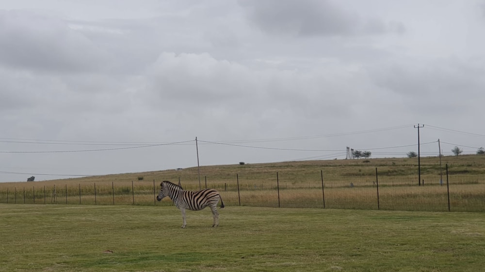 Smallholding for sale in Vaaldam SH - 1VT1734236