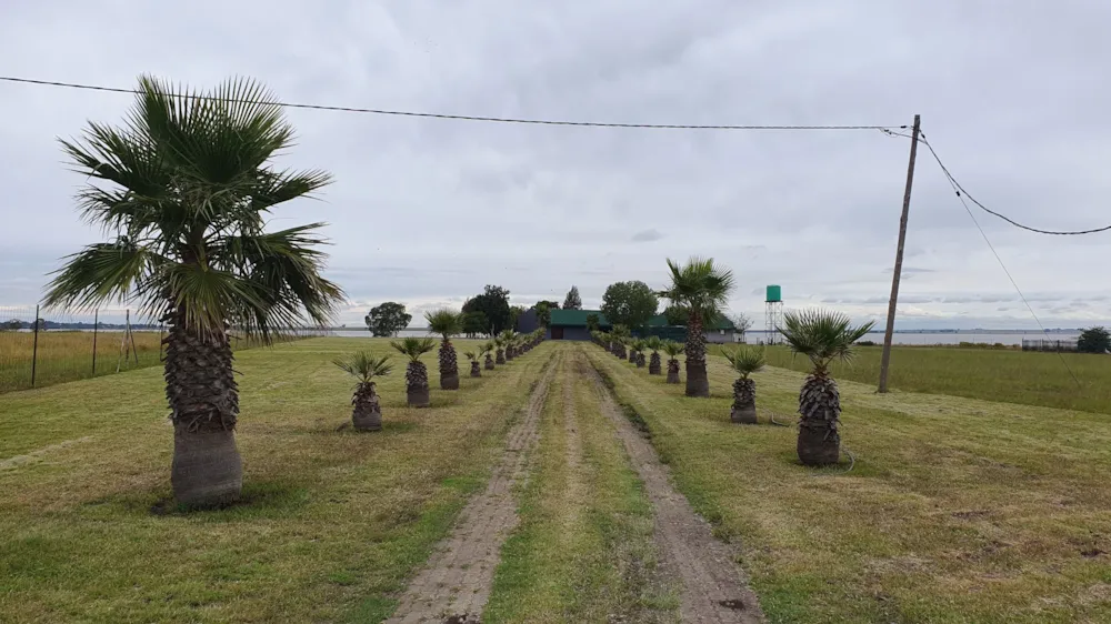 Smallholding for sale in Vaaldam SH - 1VT1734236 Smallholding for sale in Vaaldam SH - 1VT1734236