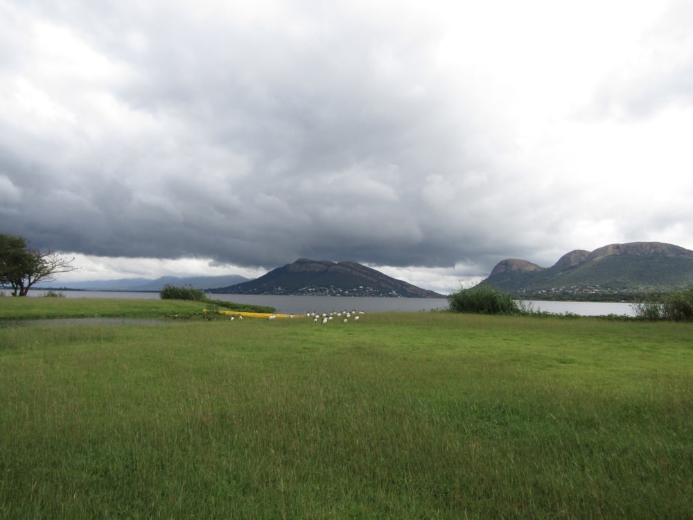 Residential vacant land for sale in Ifafi - 1HR1734132