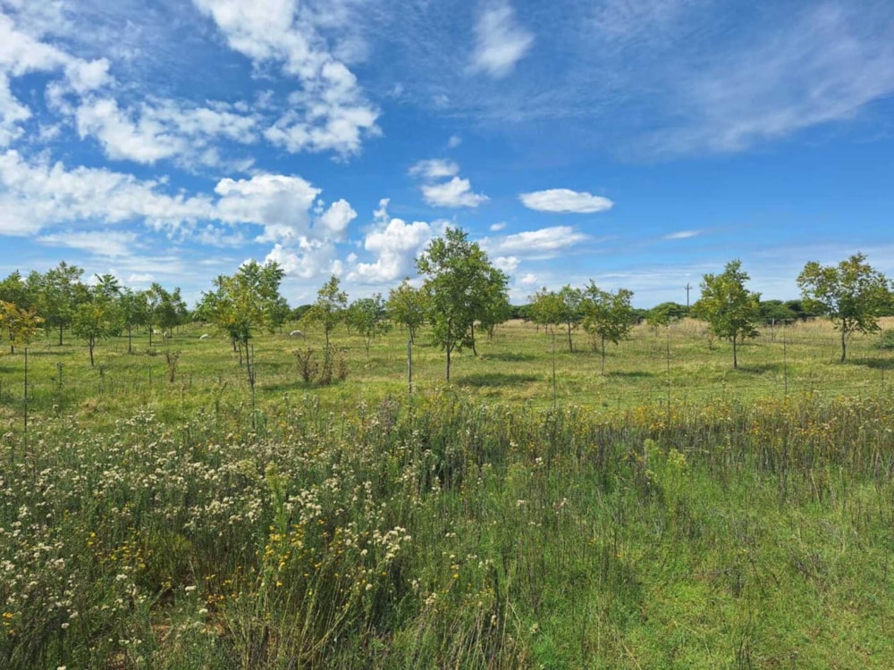 Aquaculture farm for sale in Bloemhof, North West Province - 1KJ1734315 Aquaculture farm for sale in Bloemhof, North West Province - 1KJ1734315