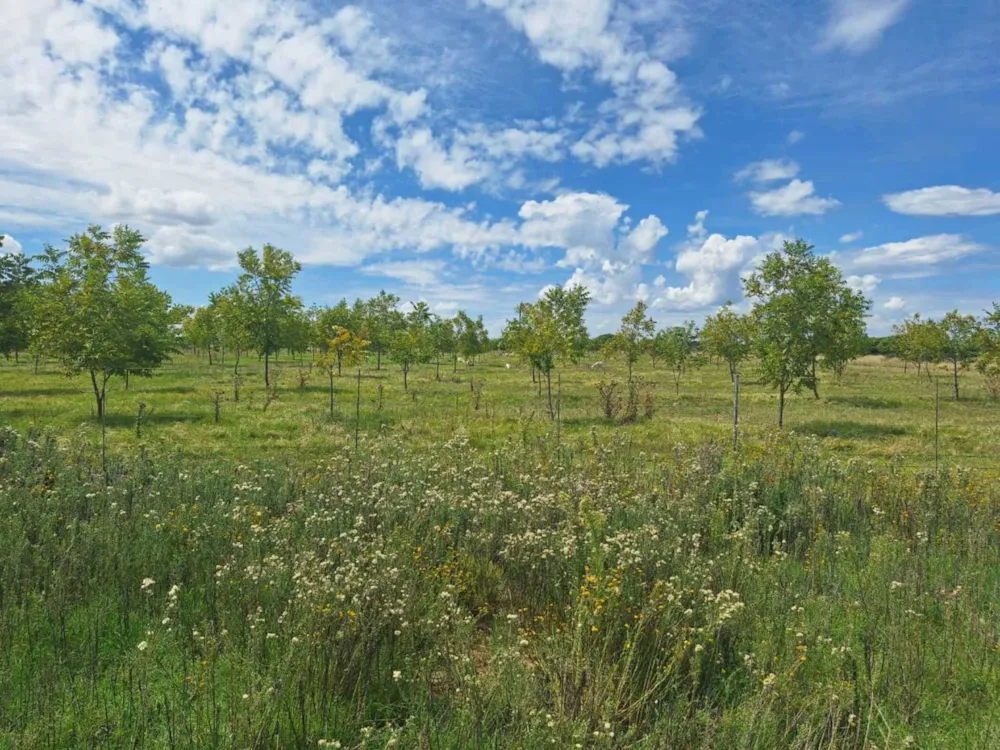 Aquaculture farm for sale in Bloemhof, North West Province - 1KJ1734315 Aquaculture farm for sale in Bloemhof, North West Province - 1KJ1734315