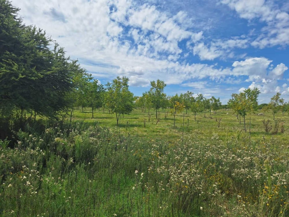 Aquaculture farm for sale in Bloemhof, North West Province - 1KJ1734315 Aquaculture farm for sale in Bloemhof, North West Province - 1KJ1734315