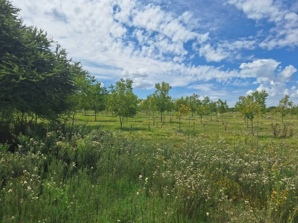 Aquaculture farm for sale in Bloemhof, North West Province - 1KJ1734315 Aquaculture farm for sale in Bloemhof, North West Province - 1KJ1734315