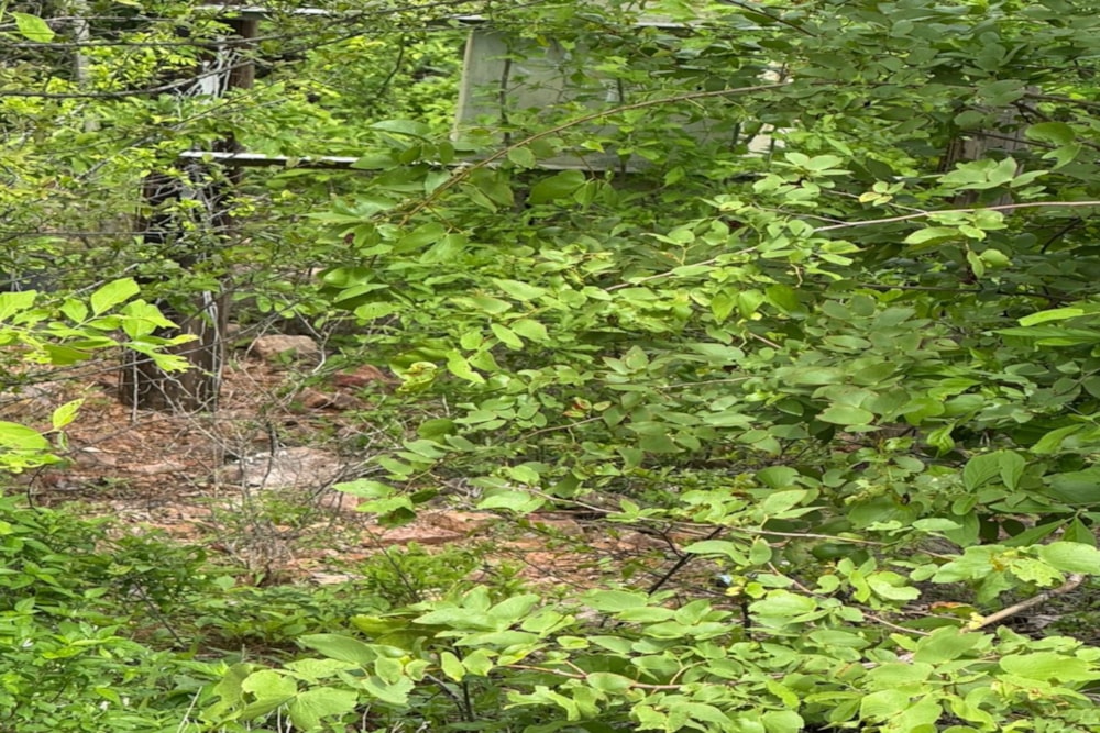 Residential vacant land for sale in Binga, Zimbabwe - 3ZB1734415