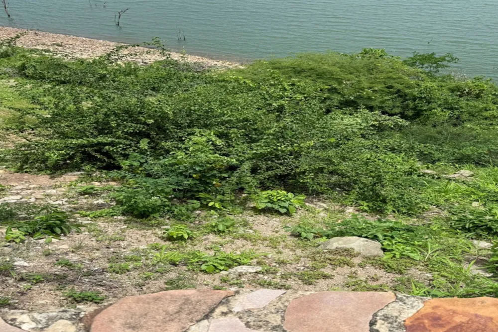 Residential vacant land for sale in Binga, Zimbabwe - 3ZB1734415 Residential vacant land for sale in Binga, Zimbabwe - 3ZB1734415