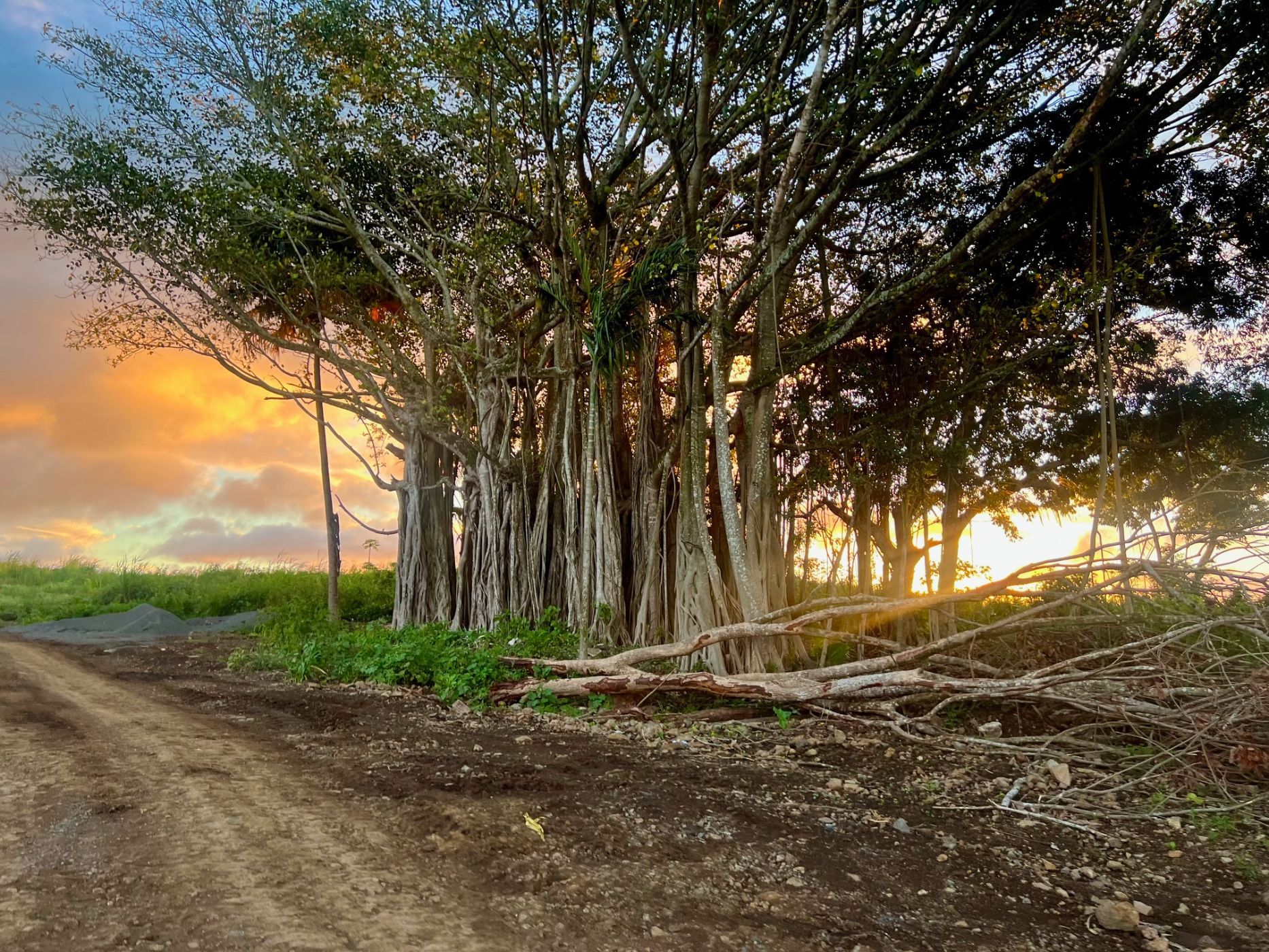 Vacant land for sale in Piton, Mauritius - MUR1734448