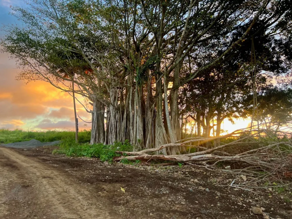 Vacant land for sale in Piton, Mauritius - MUR1734448