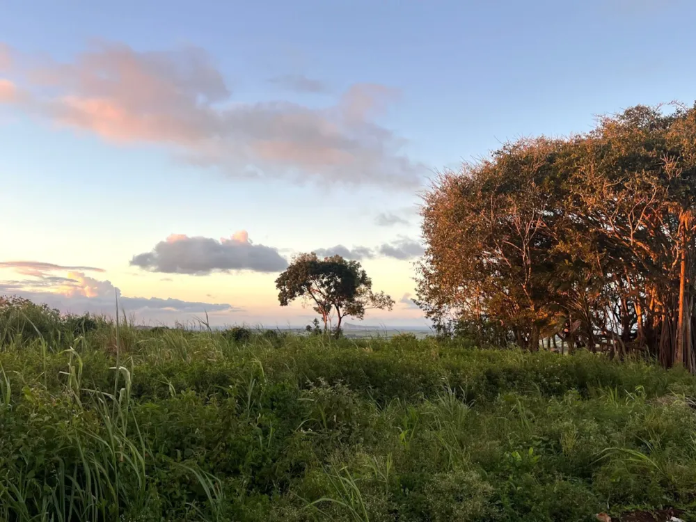 Vacant land for sale in Piton, Mauritius - MUR1734448