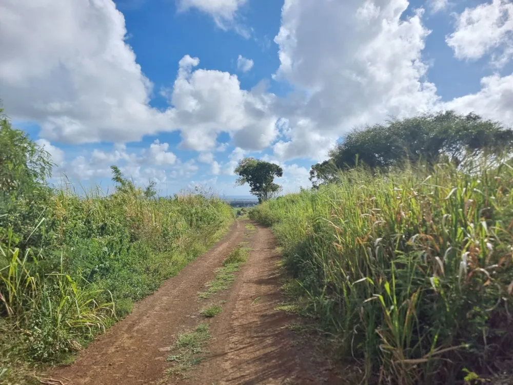 Vacant land for sale in Piton, Mauritius - MUR1734448