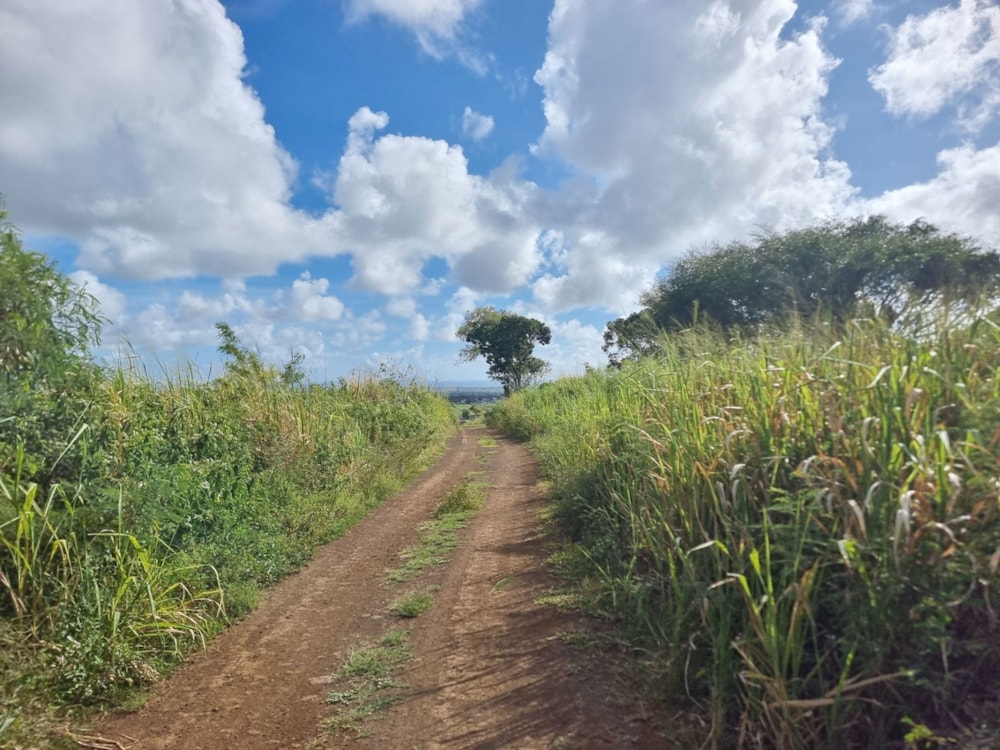 Vacant land for sale in Piton, Mauritius - MUR1734448 Vacant land for sale in Piton, Mauritius - MUR1734448