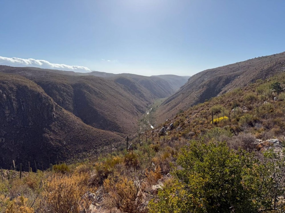 Game farm for sale in Oudtshoorn - 1OU1734486 Game farm for sale in Oudtshoorn - 1OU1734486