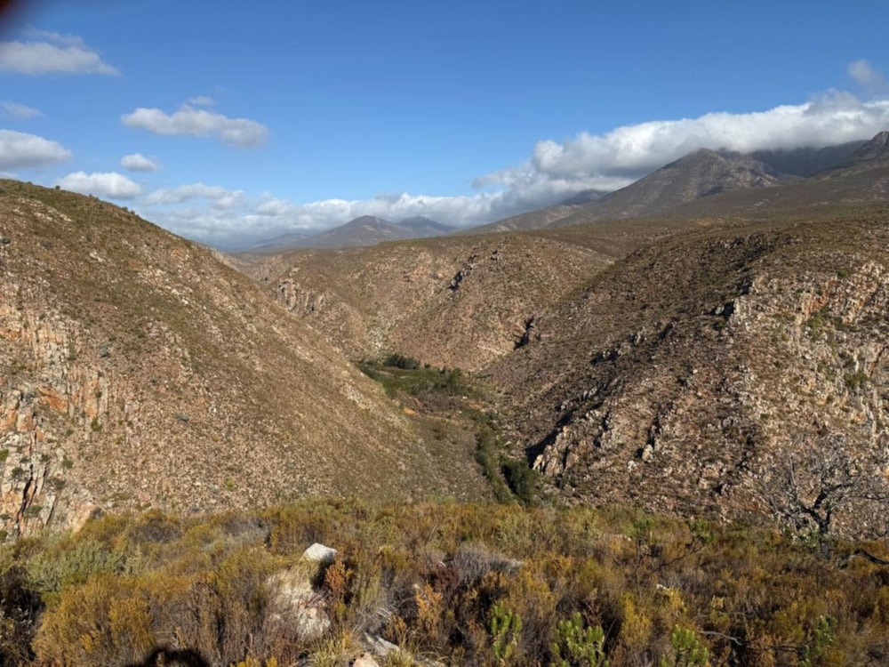 Game farm for sale in Oudtshoorn - 1OU1734486 Game farm for sale in Oudtshoorn - 1OU1734486