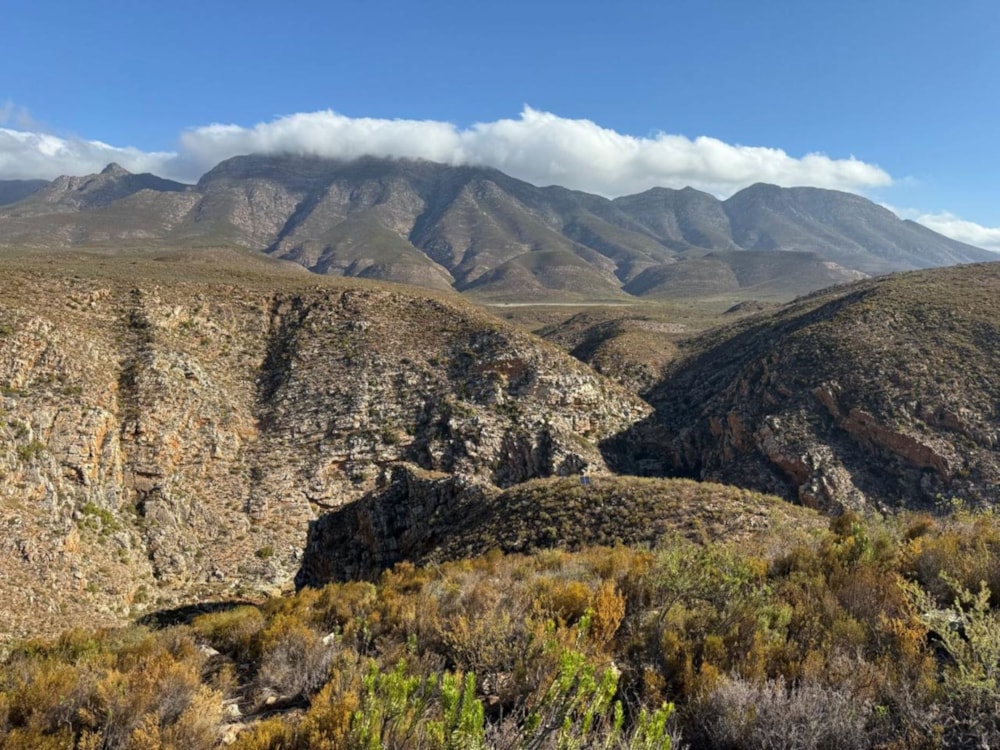 Game farm for sale in Oudtshoorn - 1OU1734486 Game farm for sale in Oudtshoorn - 1OU1734486