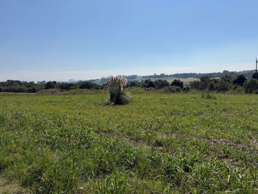 Vacant land for sale in The Avenues Estate - 1PM1734599