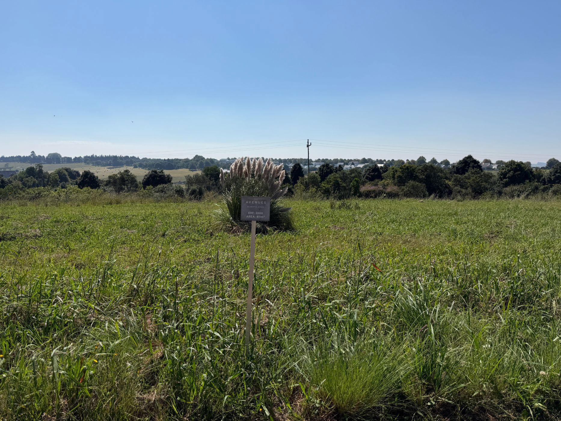 Vacant land for sale in The Avenues Estate - 1PM1734599