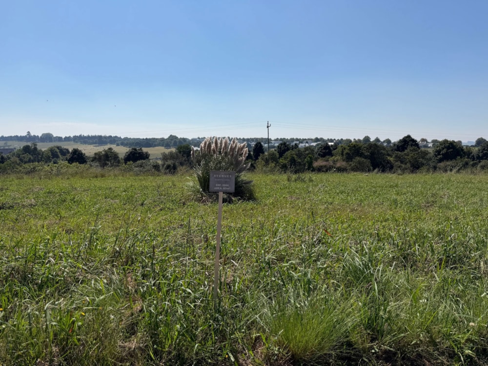 Vacant land for sale in The Avenues Estate - 1PM1734599