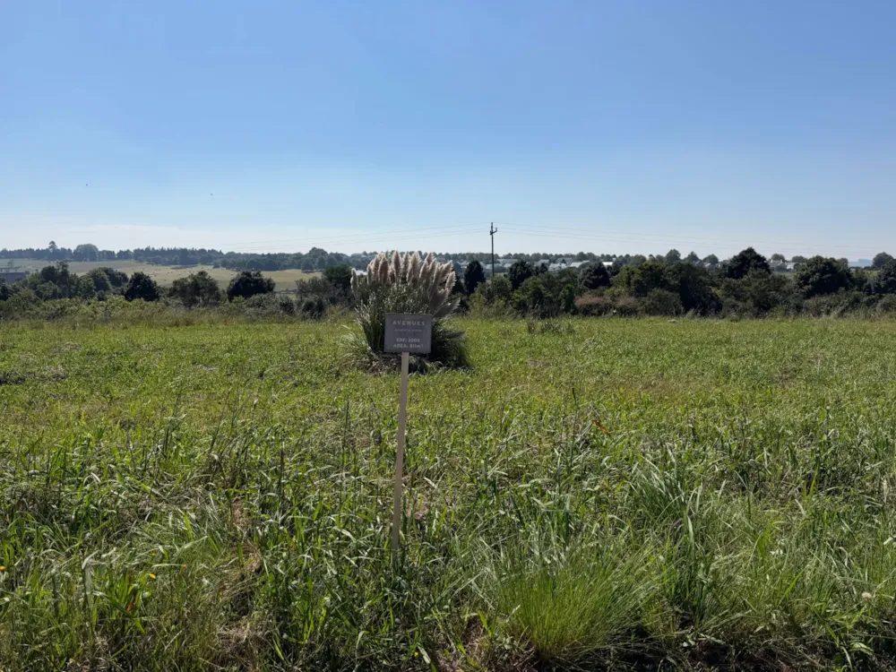 Vacant land for sale in The Avenues Estate - 1PM1734599 Vacant land for sale in The Avenues Estate - 1PM1734599