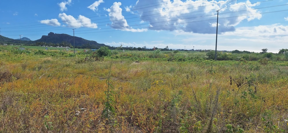 Residential vacant land for sale in Quatre Bornes, Mauritius - MUR1734587
