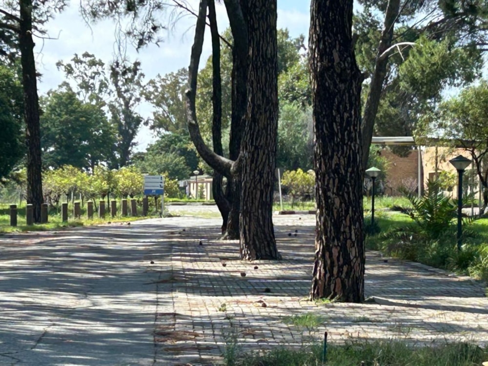 Commercial business for sale in Welkom - 1WM1734752 Commercial business for sale in Welkom - 1WM1734752