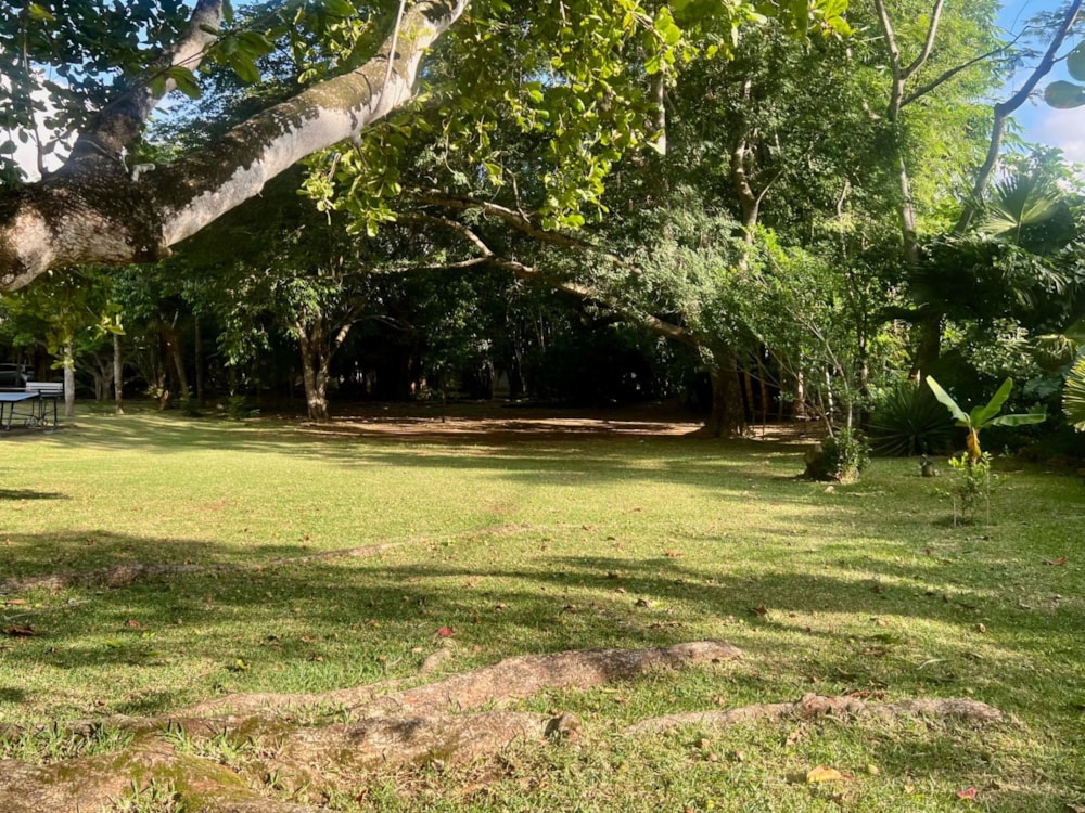 House to rent in Beau Bassin, Mauritius - MUR1734740