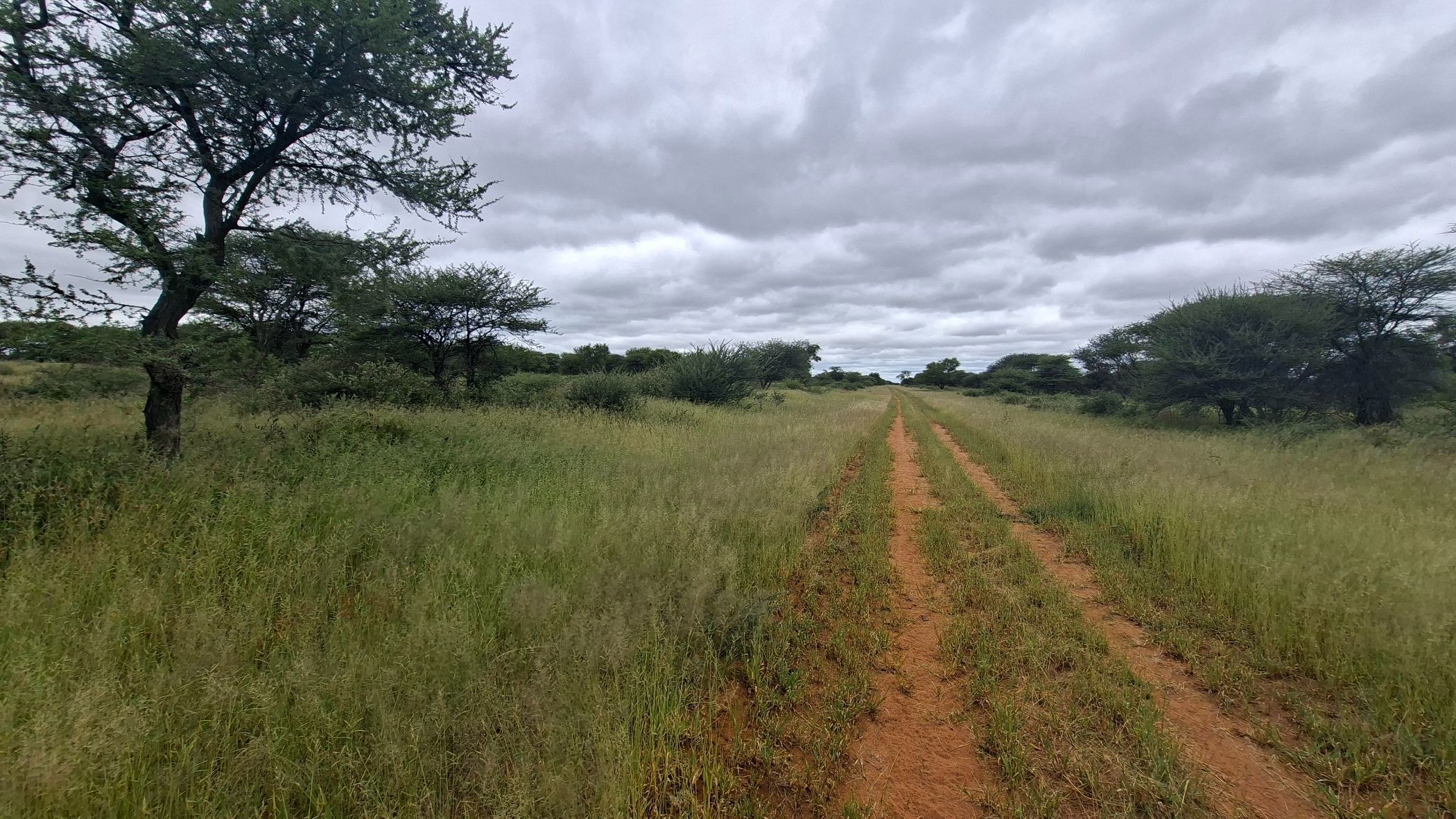 Game farm for sale in Hochfeld, Namibia - 3NM1734754