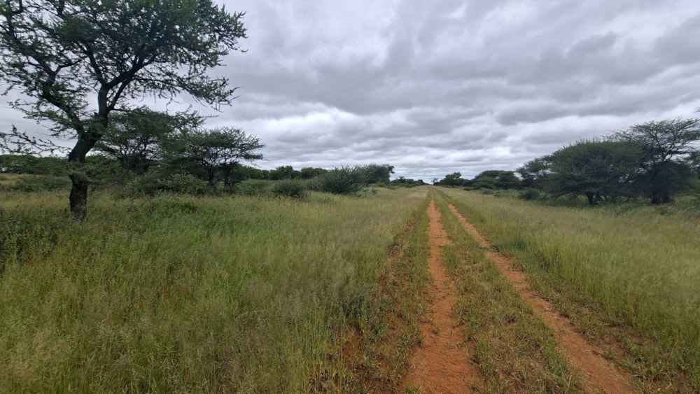 Game farm for sale in Hochfeld, Namibia - 3NM1734754 Game farm for sale in Hochfeld, Namibia - 3NM1734754