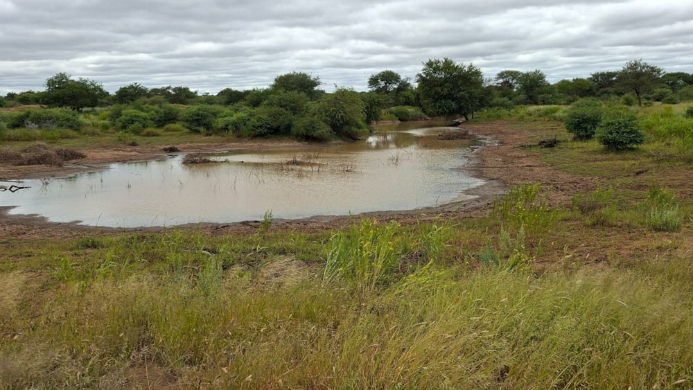 Game farm for sale in Hochfeld, Namibia - 3NM1734754