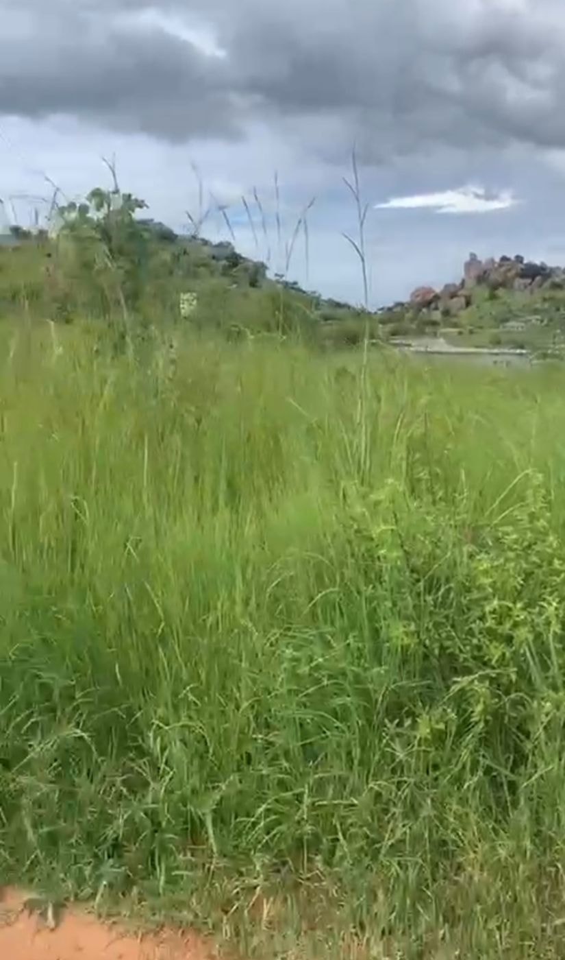 Vacant land for sale in Borrowdale Brooke, Zimbabwe - 3ZB1734795