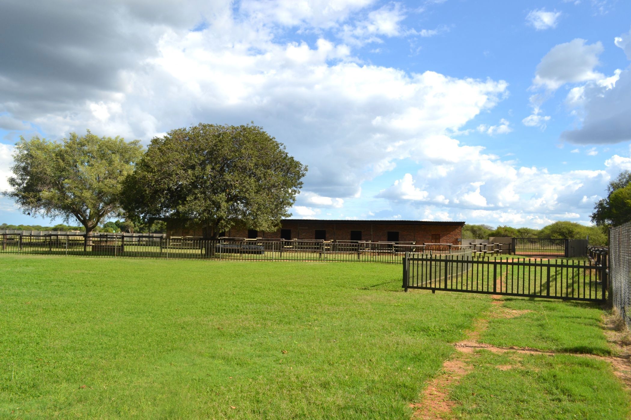Game farm for sale in Mookgopong Rural - 1MDM1734914