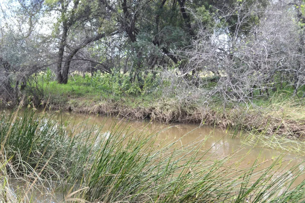 Game farm for sale in Mookgopong Rural - 1MDM1734914