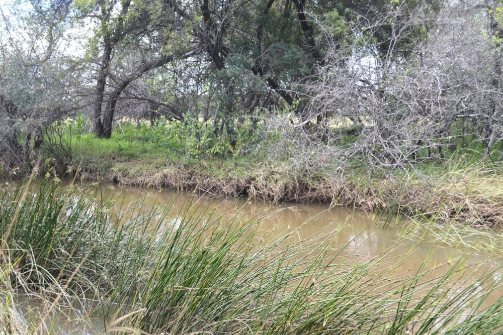 Game farm for sale in Mookgopong Rural - 1MDM1734914