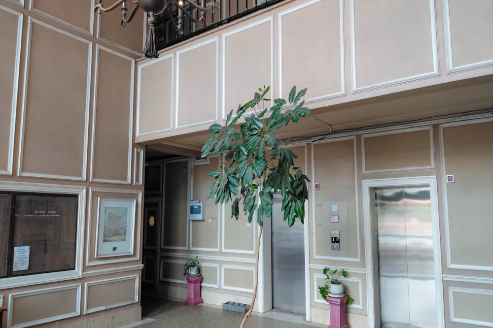 Commercial Building for sale in Bulawayo, Zimbabwe - 3ZB1734935 Commercial Building for sale in Bulawayo, Zimbabwe - 3ZB1734935