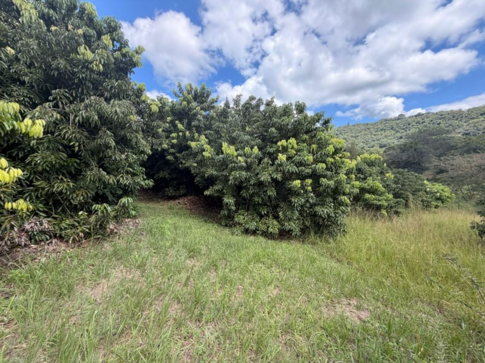 Vacant land for sale in Lushof A H - 1TA1734978