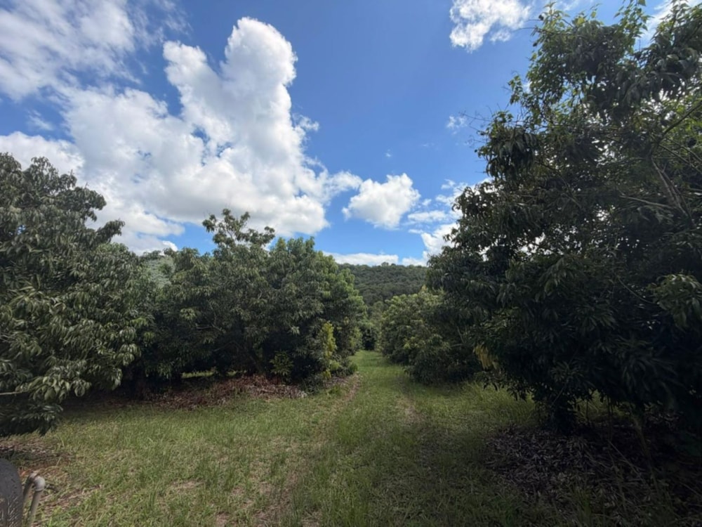 Vacant land for sale in Lushof A H - 1TA1734978