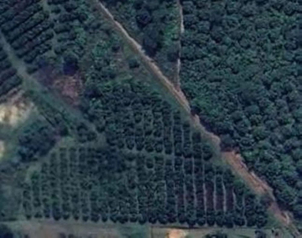 Vacant land for sale in Lushof A H - 1TA1734978