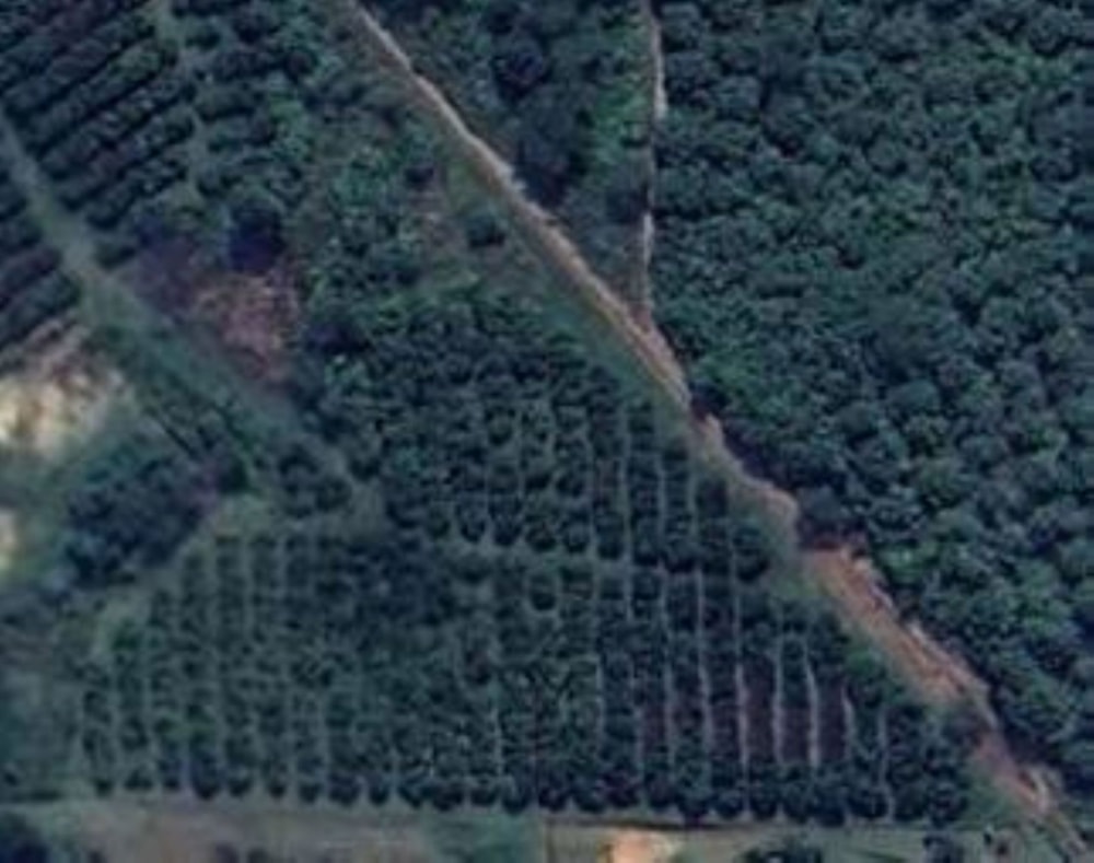 Vacant land for sale in Lushof A H - 1TA1734978