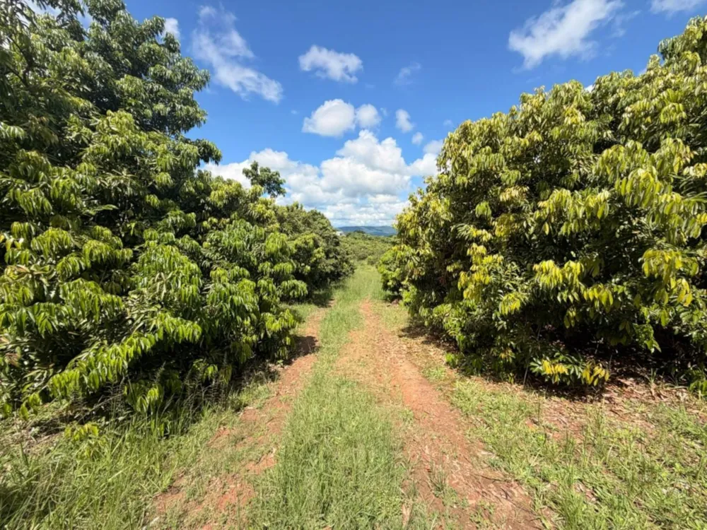 Vacant land for sale in Lushof A H - 1TA1734978