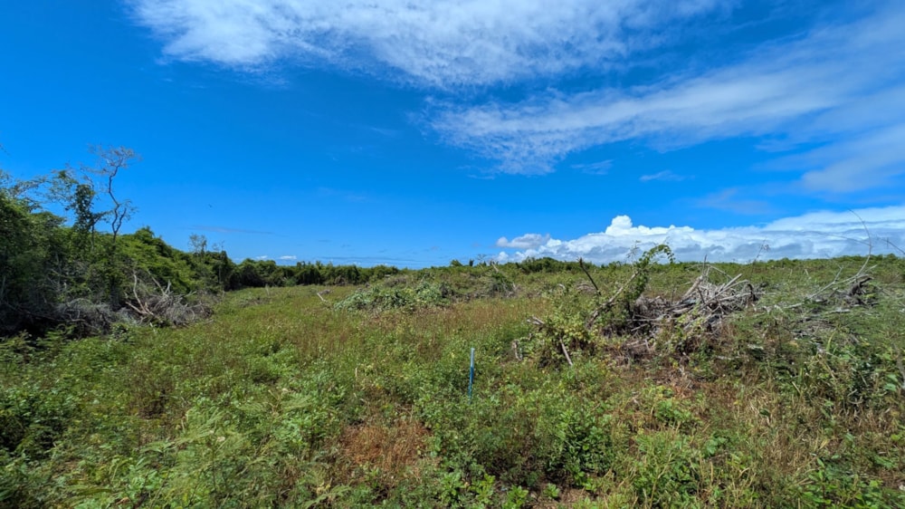 Vacant land for sale in Saint Antoine, Mauritius - MPR1734982