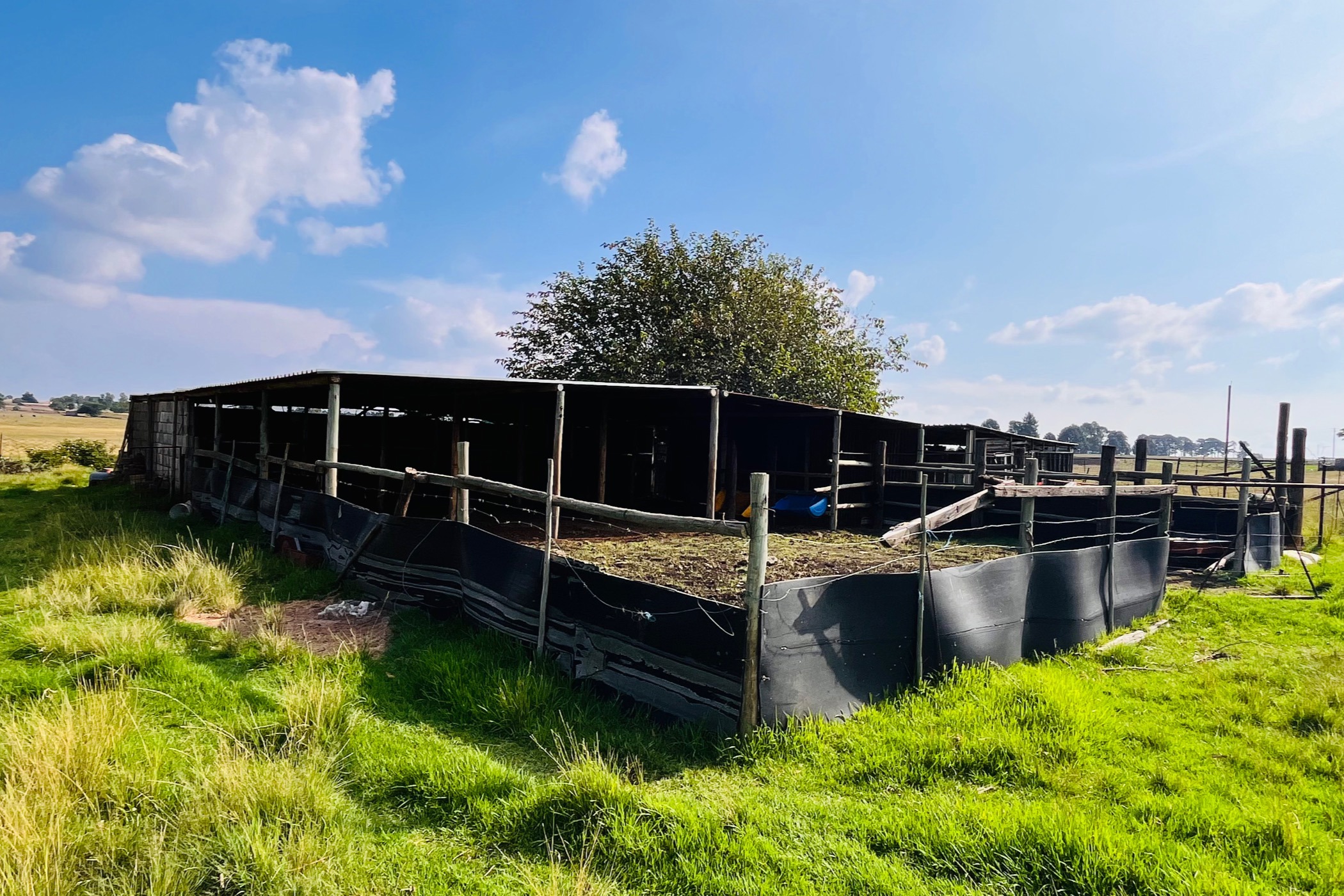 Lifestyle property for sale in Witbank Rural (eMalahleni Rural)  - 1WD1735250