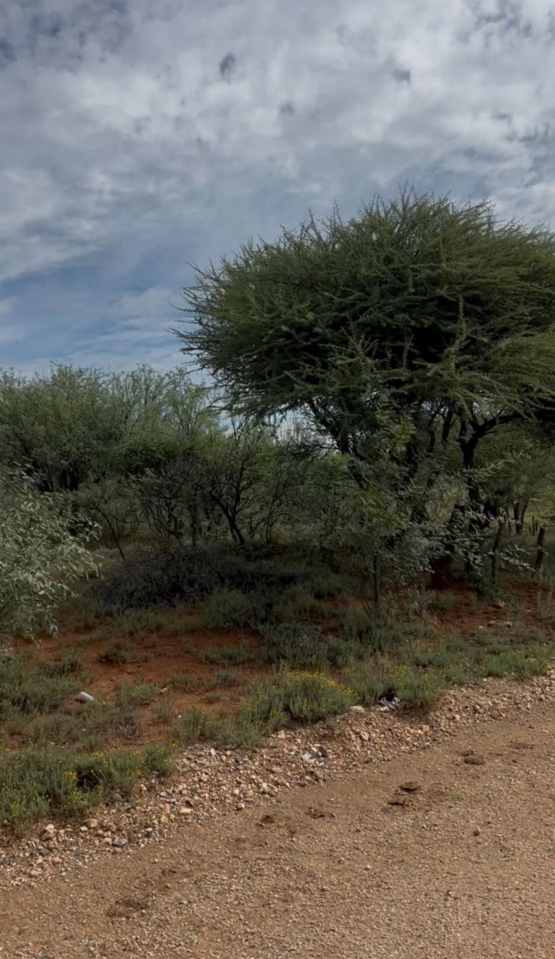 Vacant land for sale in Southridge, Kimberley - 1KJ1735183